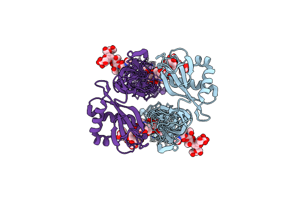 6C13 image