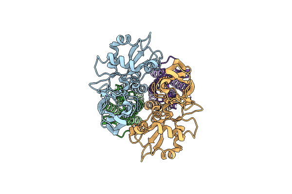 6C14 image
