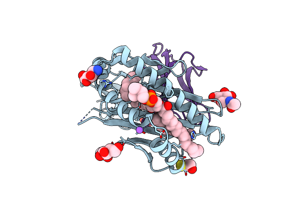 6C15 image