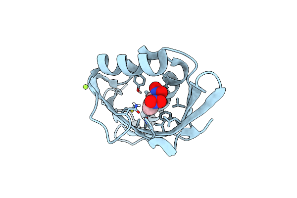 6C17 image