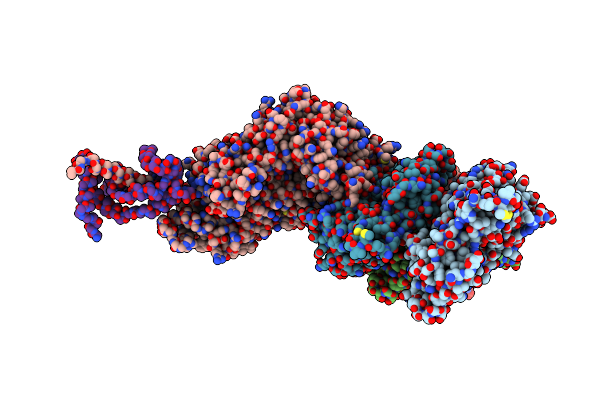 6C1D image