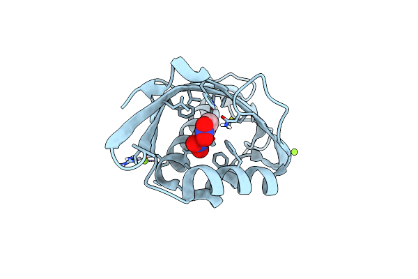 6C1J image
