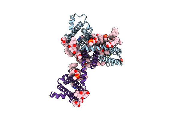 6C1M image