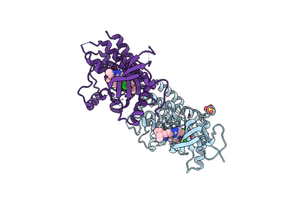 6C1O image
