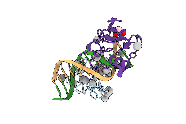 6C1T image