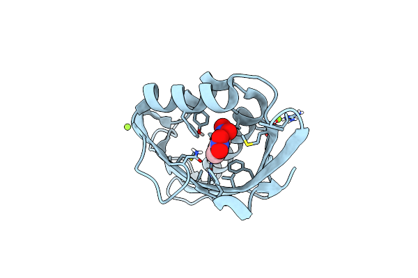 6C1X image