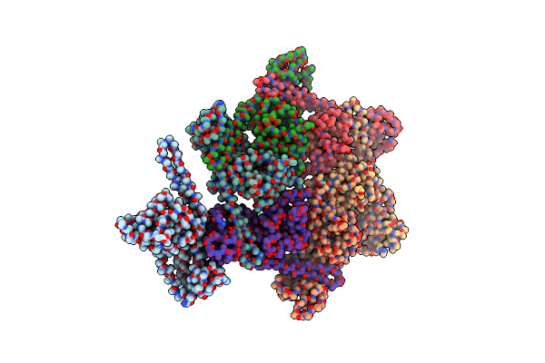 6C21 image