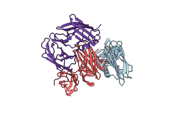 6C29 image