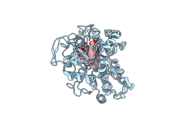 6C2D image