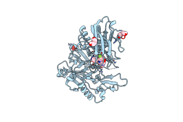6C2I image