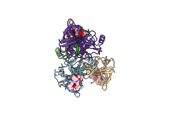6C2M image
