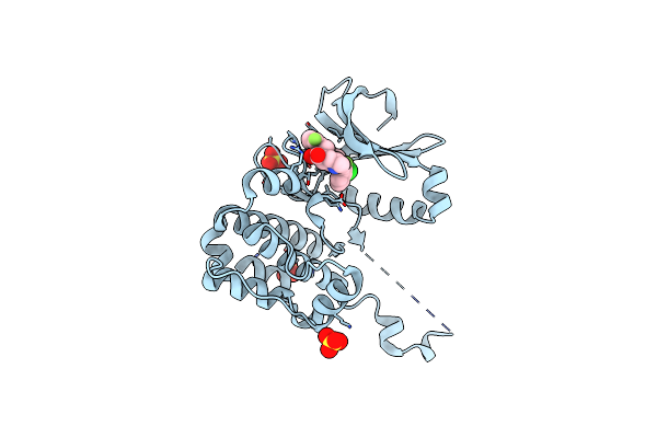 6C2R image