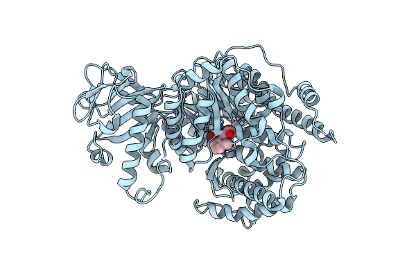 6C2X image