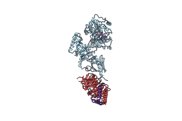 6C2Y image