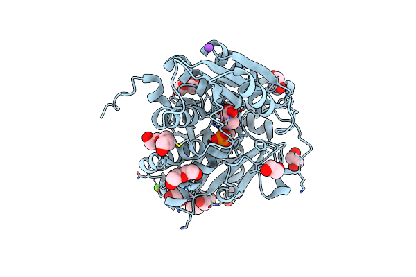 6C2Z image