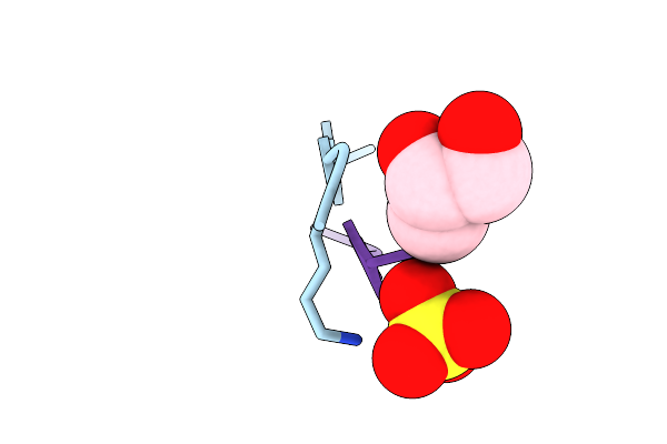 6C3G image