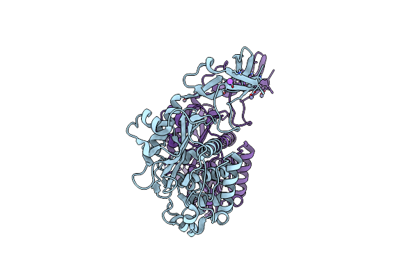 6C3K image