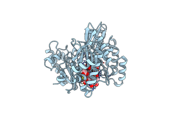 6C3M image