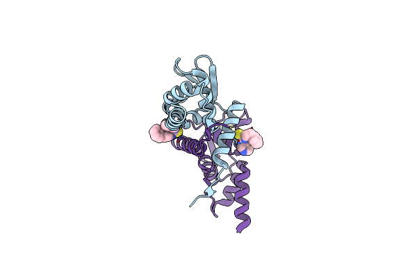 6C3N image