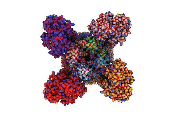 6C3O image