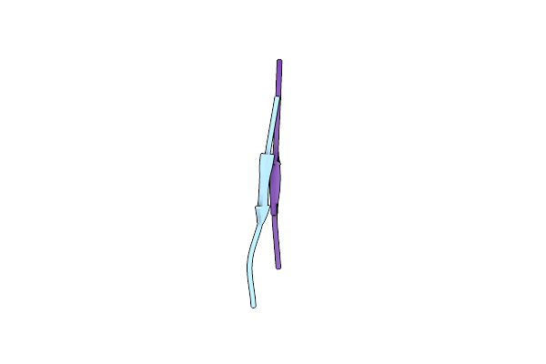 6C3T image