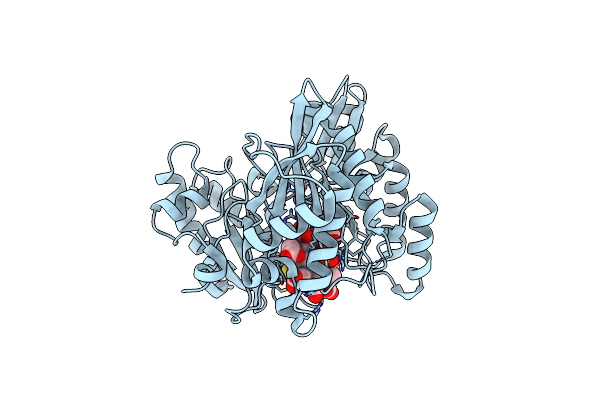 6C3X image