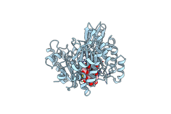6C3Z image