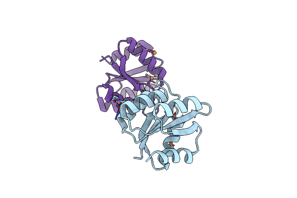 6C40 image