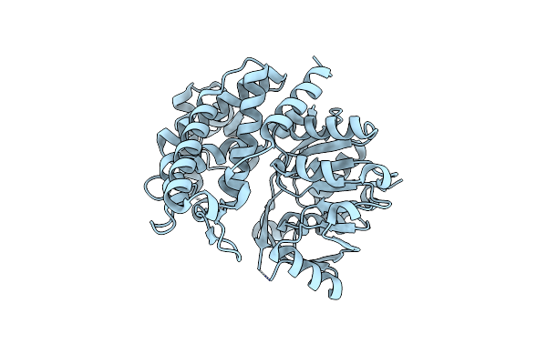 6C4L image
