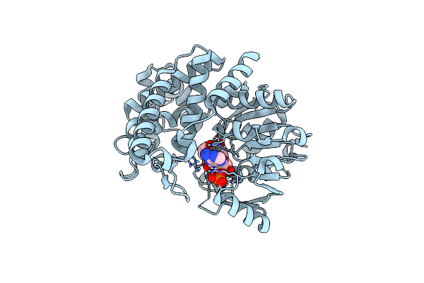 6C4M image