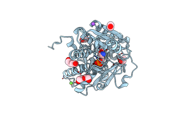 6C4P image