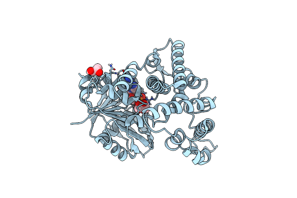 6C4T image