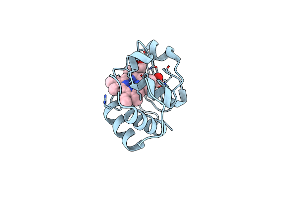 6C4W image