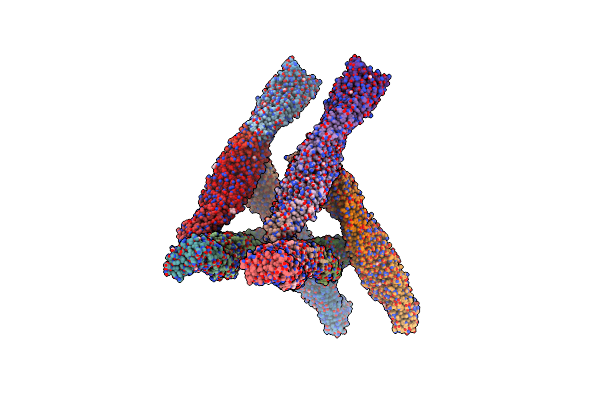 6C50 image