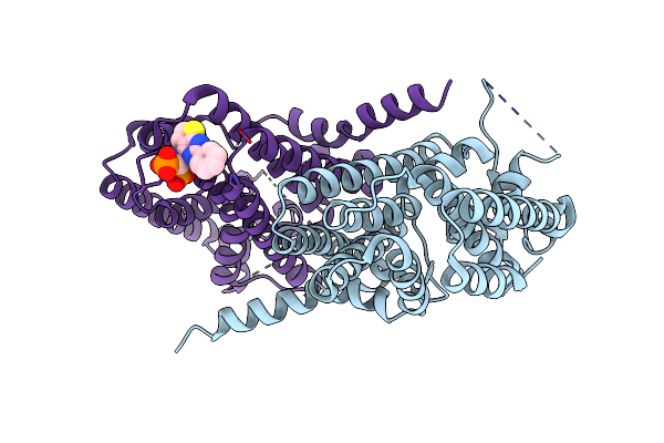 6C56 image