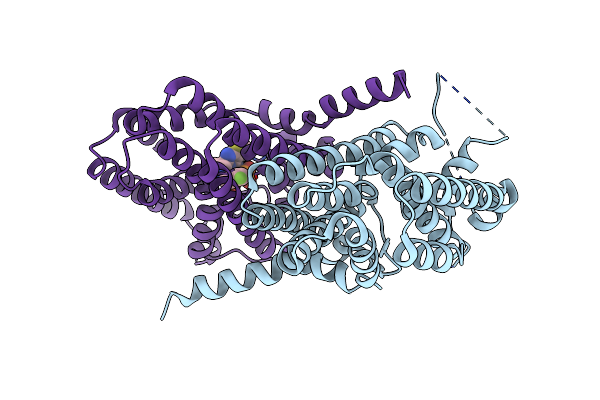 6C57 image