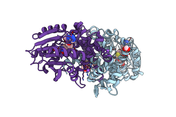 6C5B image