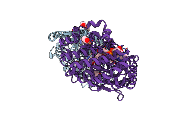 6C5C image