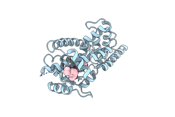6C5T image