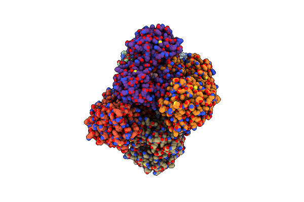 6C5Z image