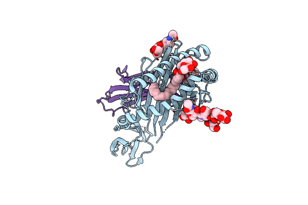 6C6C image