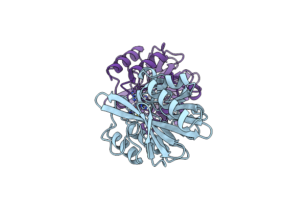 6C6I image