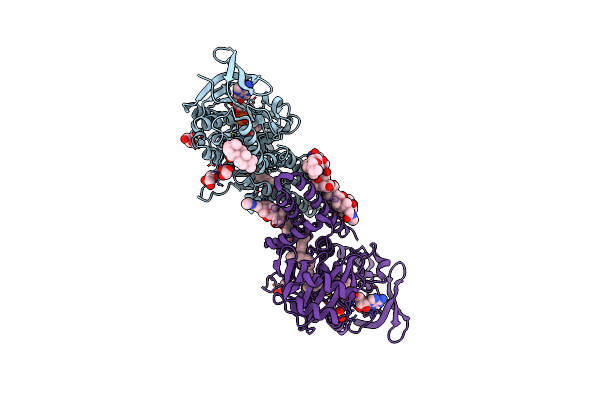 6C6N image