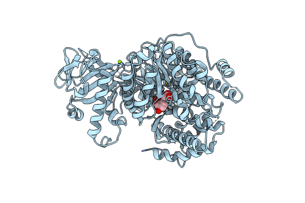 6C6O image