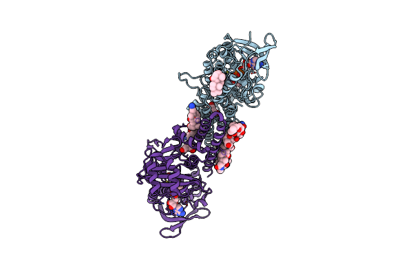 6C6R image