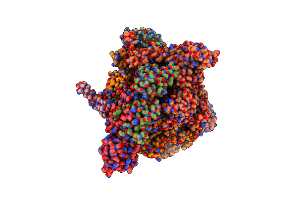 6C6S image