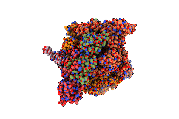 6C6T image