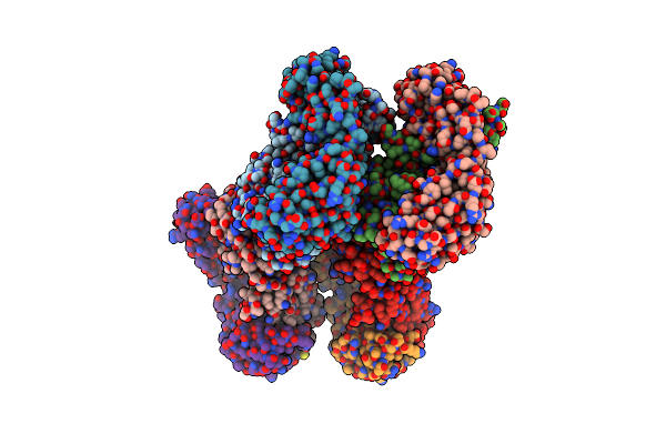 6C6X image