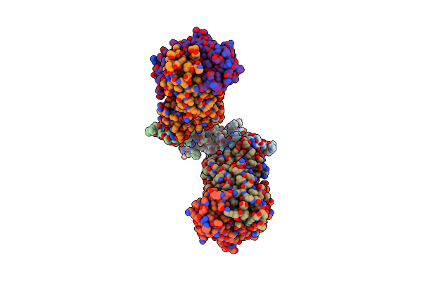 6C6Z image