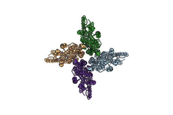 6C70 image